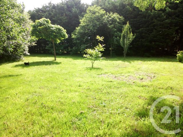 terrain à vendre - 724.0 m2 - SOULLANS - 85 - PAYS-DE-LOIRE - Century 21 L'Océane