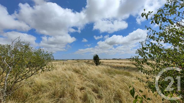maison à vendre - 7 pièces - 140.0 m2 - BEAUVOIR SUR MER - 85 - PAYS-DE-LOIRE - Century 21 L'Océane