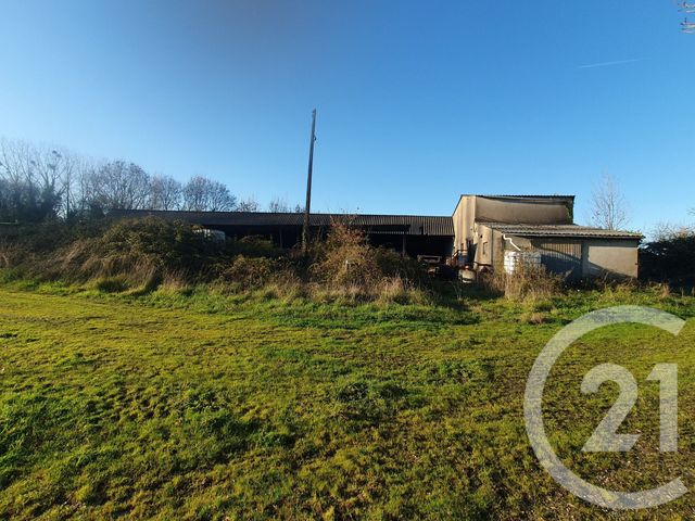  à vendre VIEILLEVIGNE