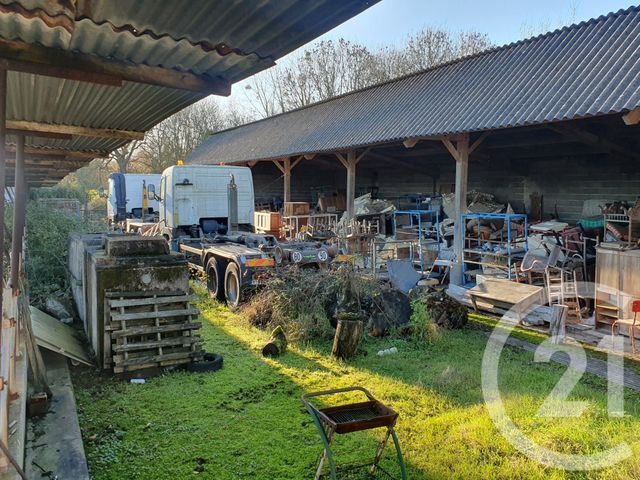 divers à vendre - 400.0 m2 - VIEILLEVIGNE - 44 - PAYS-DE-LOIRE - Century 21 L'Océane