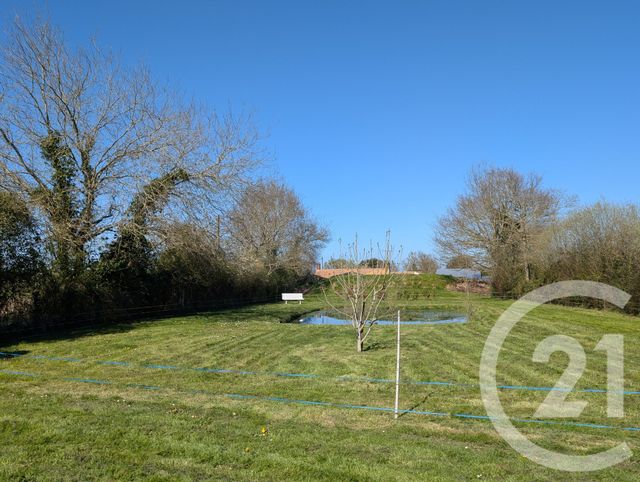 maison à vendre - 5 pièces - 117.0 m2 - ST GERVAIS - 85 - PAYS-DE-LOIRE - Century 21 L'Océane